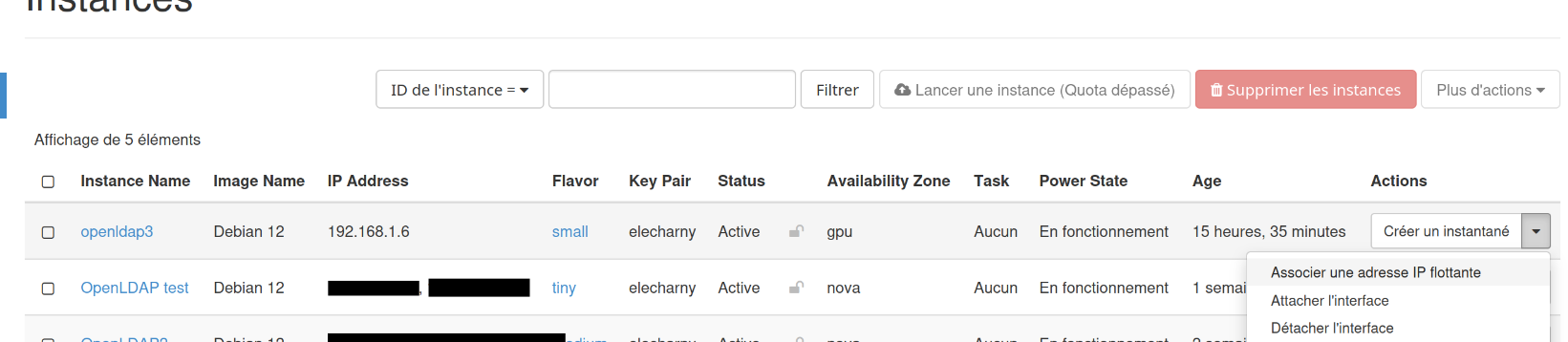 Association d'IP flottante