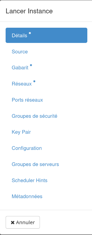 Menu de la création d'instance